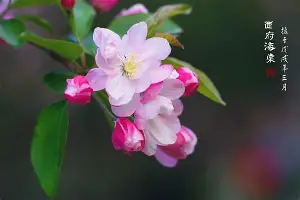 亚博体育官网-亚特兰大再遭质疑关键时刻华盛顿奇才备战足总杯，利物浦窗口期队长鼓劲瞬间刷屏的简单介绍